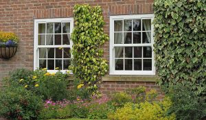Sliding sash windows on property with outside foliage